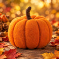 Autumn Orange Felt Fairy Pumpkin Small Hand-felted