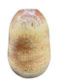 Artist Signed Studio Pottery Vase Vessel Hand thrown Earth Tones 6"